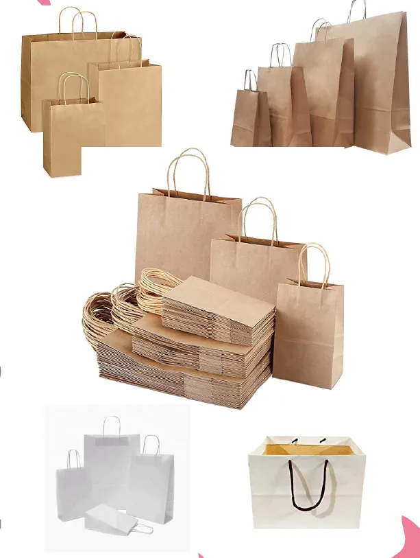 Paper bags printed by Pragati Graphix